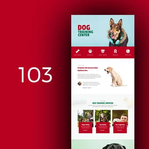 Dog Trainer