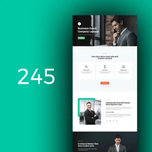 Business Coach 2