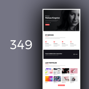 Freelancer 3