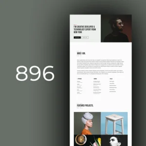 Freelancer 6